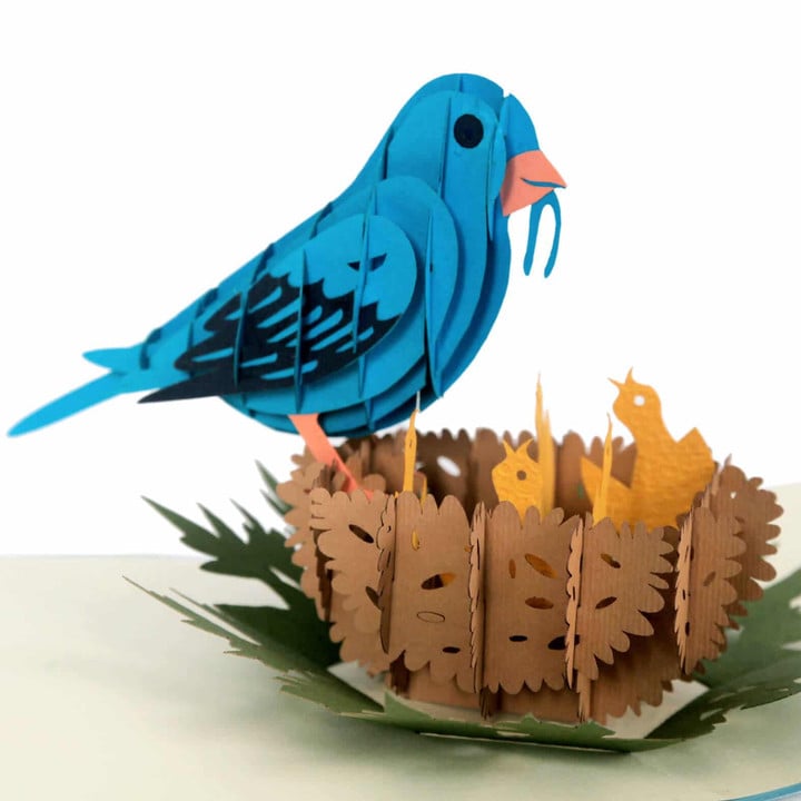 blue bird nest pop up card