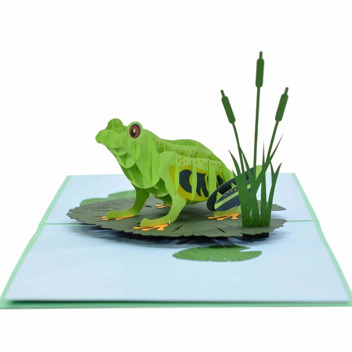 frog pop up greeting card