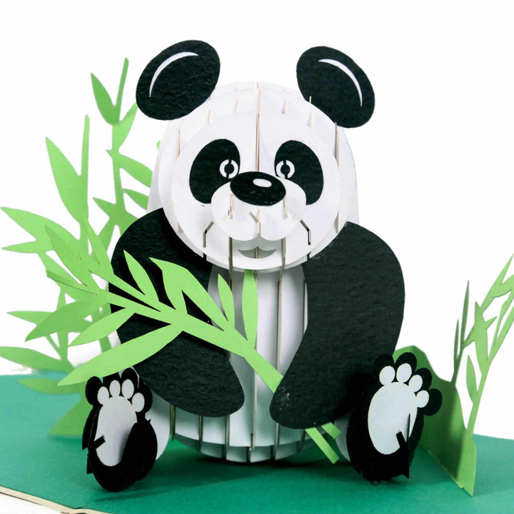 panda poo up greeting 3d card