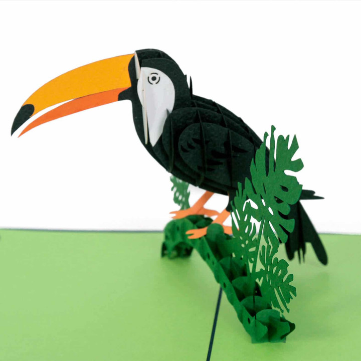 toucan bird 3d pop up greeting card