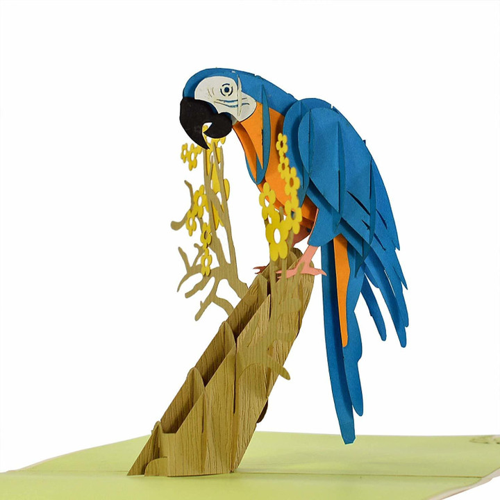 Parrot 3D Pop Up Greeting Card (Blue Yellow Macaw Bird)