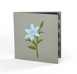 Blue Lily 3D Pop Up Card