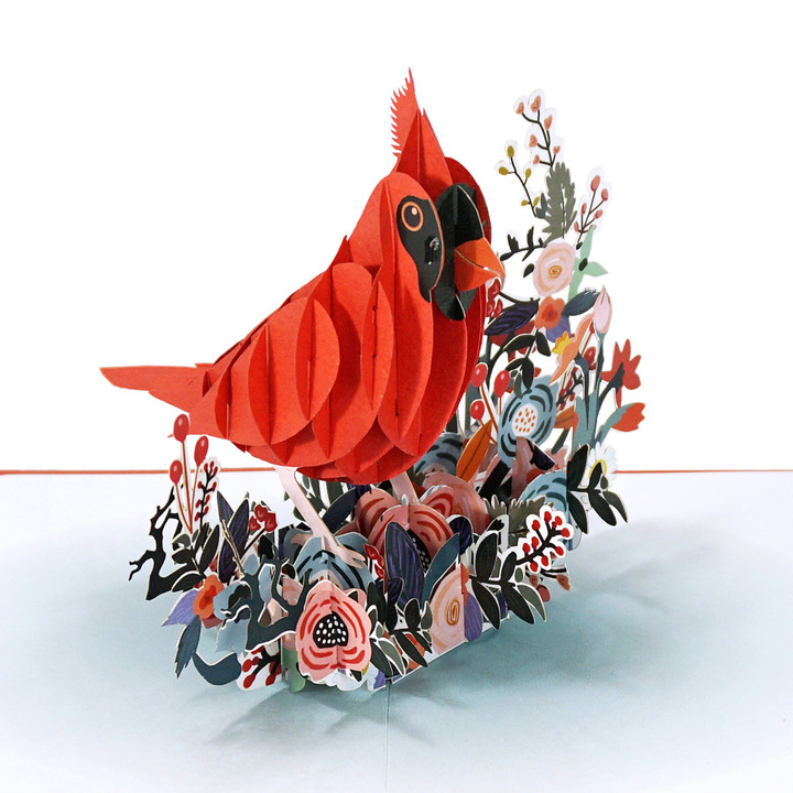 Cardinal 3D Greeting Popup Card new Design 2023