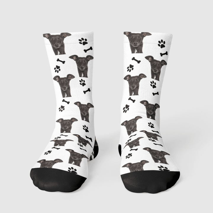 Greyhound long Socks