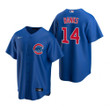 Youth Chicago Cubs #14 Ernie Banks 2020 Royal Blue Jersey Gift For Cubs Fans