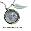 Pet memorial gift / Lock of Hair Keepsake / Pet loss Necklace