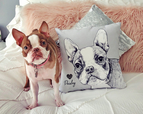 Pet Photo Pillow With Black And White Effect