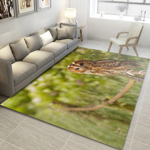 Birds Animal Rug, Living Room And Bed Room Rug - Floor Decor