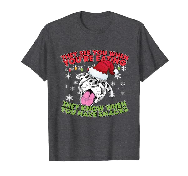Christmas Pitbull Lover Gifts - Pitbull Christmas sweater