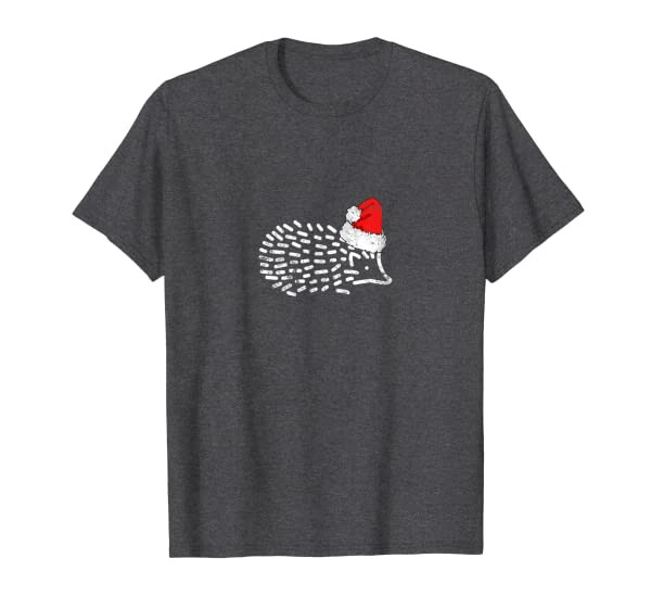Christmas Santa Hat Hedgehog Gift T-Shirt