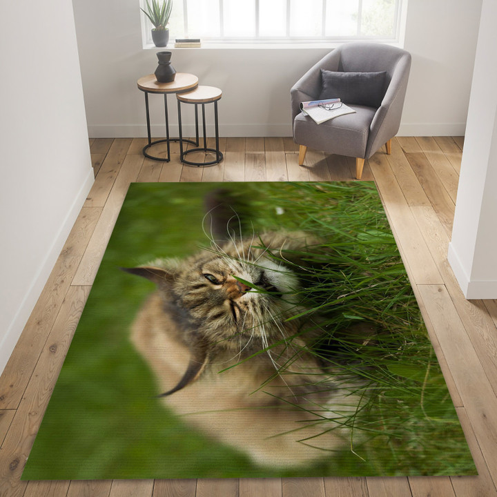 Cats Grass Whiskers Funny Area Rug, Living Room Rug - The US Decor