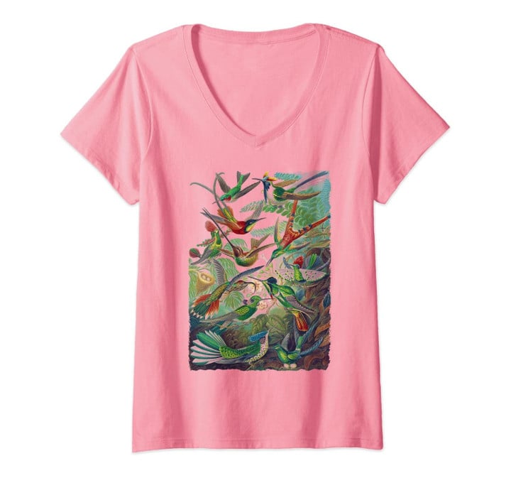 Womens Hummingbird Colorful Hummingbird Spring Garden Bird Summer V-Neck T-Shirt