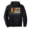 I Wear Orange For My Friend Hoodie MS Awareness Ribbon