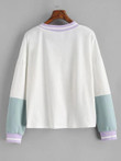 Drop Shoulder Butterfly Print Colorblock Sweatshirt