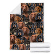 A Bunch of Dachshund Fleece Blanket