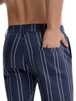 Men Striped Print Zipper Fly Pants