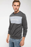 Men Hoodies Dark Grey Casual Long Sleeve Pullover Color Print SweatShirt