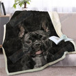 French Bulldog Gs-Cl-Dt0301 Fleece Blanket