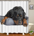 Dog With Cooling Gel Bed Giving Dog Lovers 3D Printed Shower Curtain