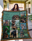 Rottweiler All Of The Stars Quilt Blanket Dhc3112348Td