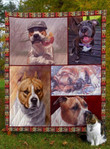 American Staffordshire Terrier Seasons In The Sun Quilt Blanket Dhc020120942Td