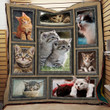 Cat Lovely Cats Of My Life Quilt Blanket Dhc3112847Td