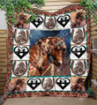 Horse From Long Beach Quilt Blanket Dhc020120735Td