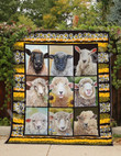 Sheep Quilt Blanket Dhc13121627Vt