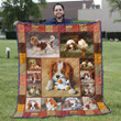 Cavalier King Charles Spaniel Dog Blanket - Cute Long Hair Little Dog Quilt Blanket - Sweet Gift For Baby Girl