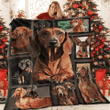 Ltr0512 Dachshund When The Party S Over Quilt Dhc16122143Dd