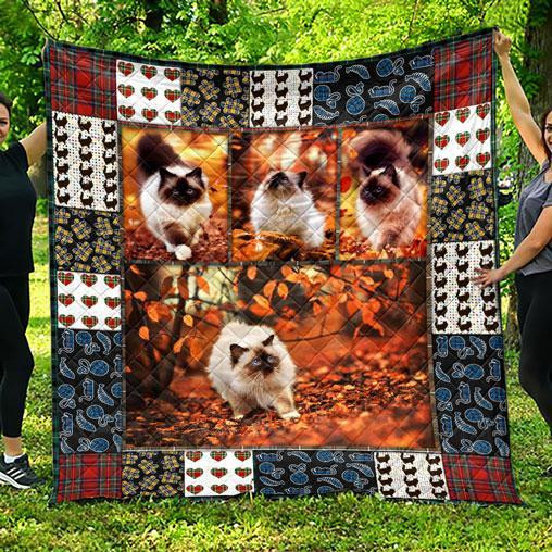 CUTE BALINESE CAT PET LOVER 3D Quilt Blanket TH0607