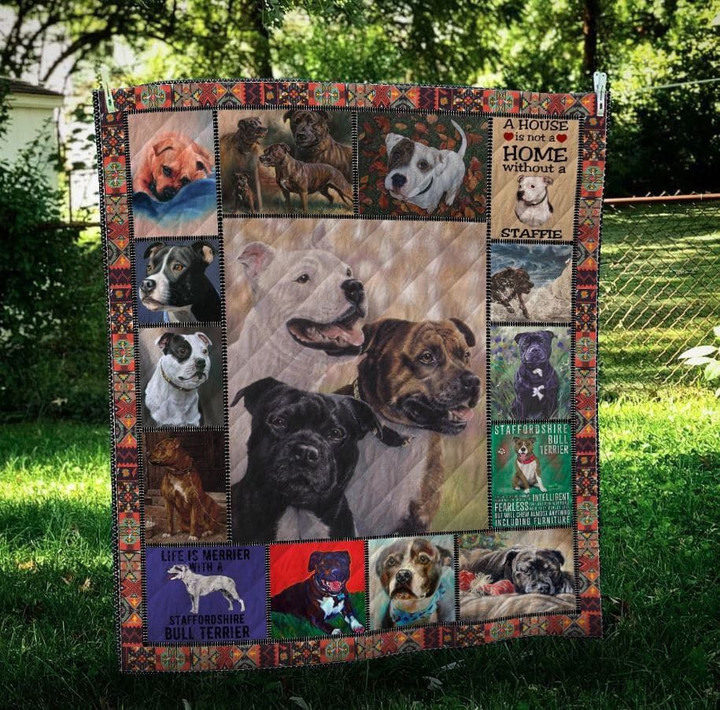 Mp0111 Staffordshire Bull Terrier They Are Love Quilt Dhc16124110Dd