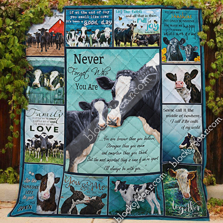 Never Forget That I’Ll Always Be With You, Cow Quilt