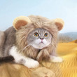 Cute Lion Mane Cat Wig Costume Cosplay