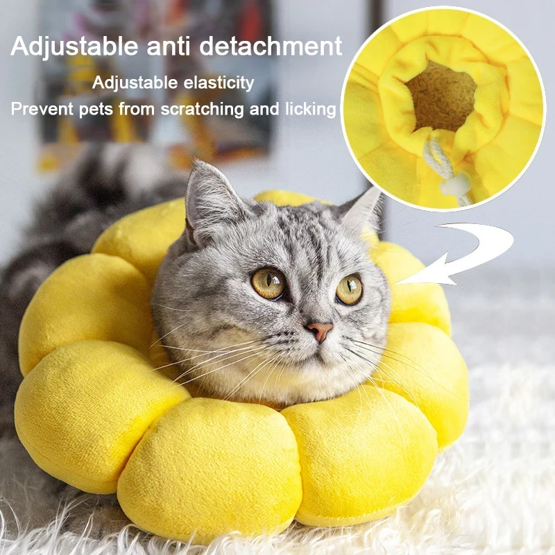 Cat Supplies - CatMEGA Store