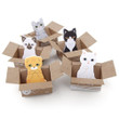 Kitty-in-a-Box Sticky Notes