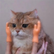 Funny Mini Silicone Cat Massage Hands