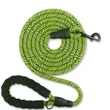 Comfortable Padded Handle Reflective Pet Leashes