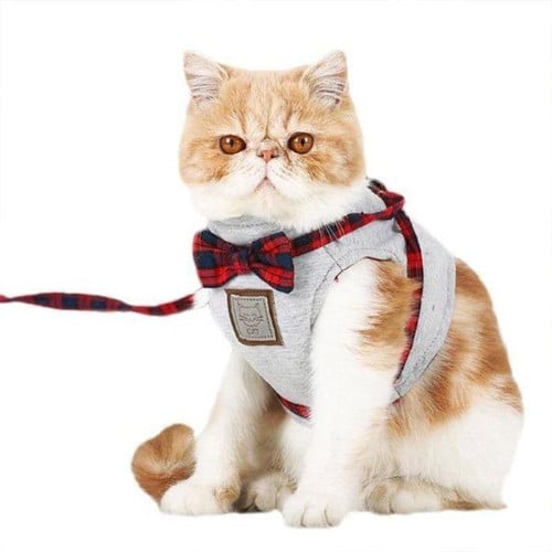 Cat Harness Vest & Leash