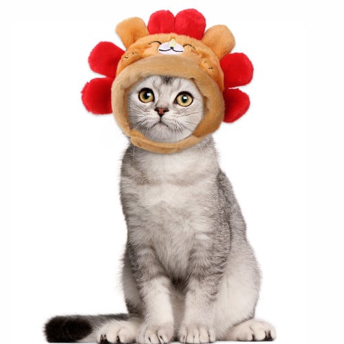 Funny Hedgehog Hat for Cat