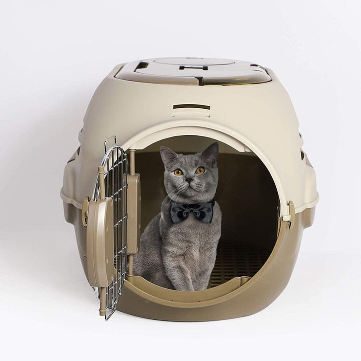 Sturdy Cat Carrier Kitten Pet Travel Crate