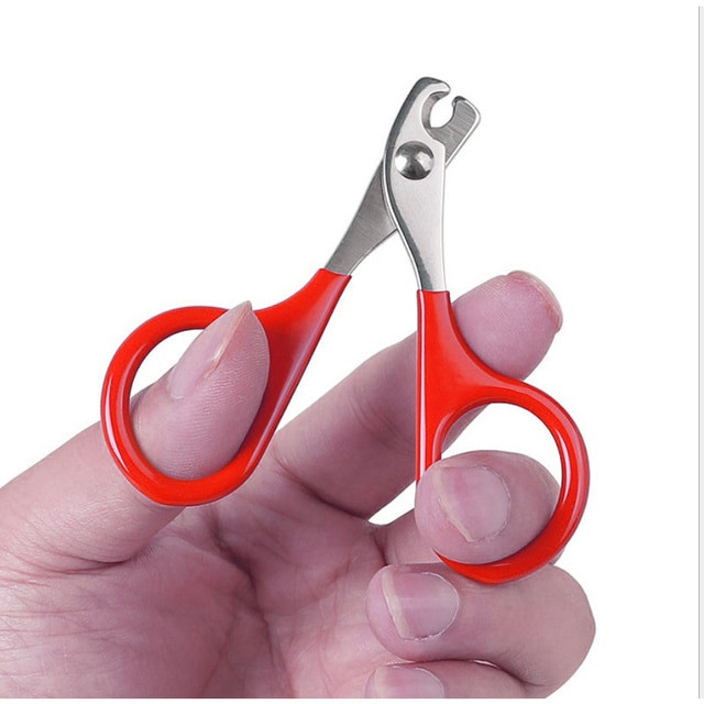 Nail clippers for Pet