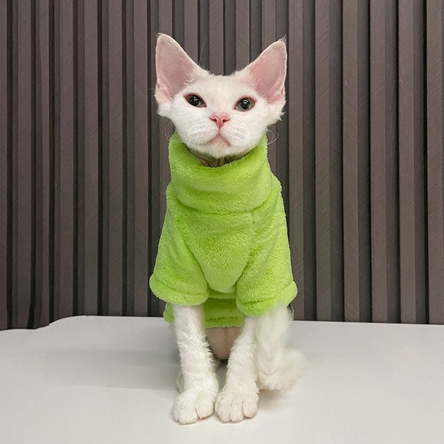 New Sweater To Keep Warm For Sphynx Cat