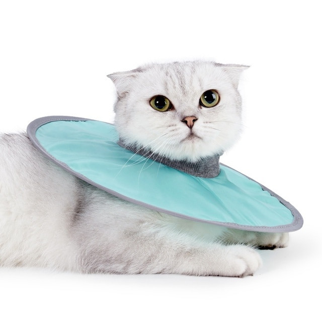 Cat Anti-bite Medical Recovery Collar