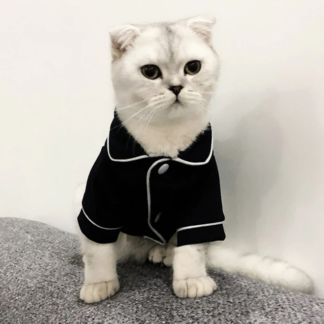 Comfortable Pajamas For Cats
