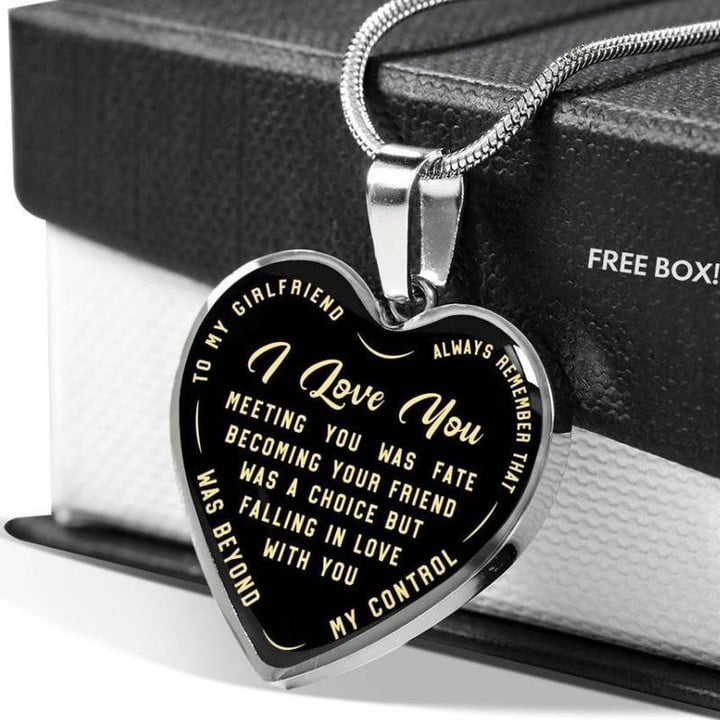 To my Girlfriend Meeting you was fate Necklace Steel/Gold Chain, Best Gift Idea, Christmas gifts, Birthday gift