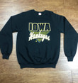 American Vintage Collegiate Made In Usa 80s Iowa Hawkeye Crewneck