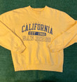 American College Collegiate Vintage Vintage Ucsd San Diego College Sweater 90s Usa Y2