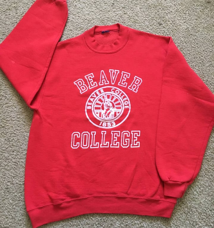 American College Made In Usa Vintage Vintage Rare 90s Beaver College Pullover