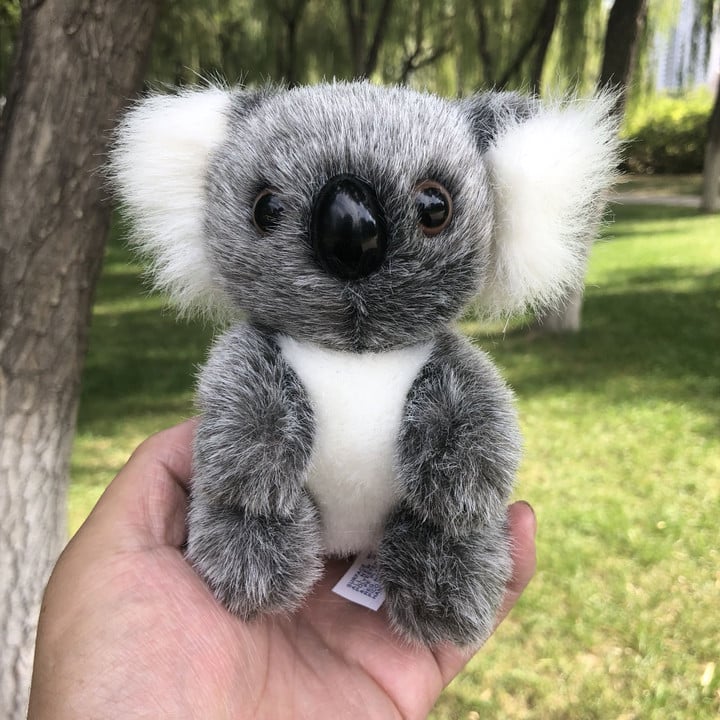 Plush Koala Koala Plush Toys Wedding Dolls Grab Machine Doll Small Gifts Children's Birthday Gifts